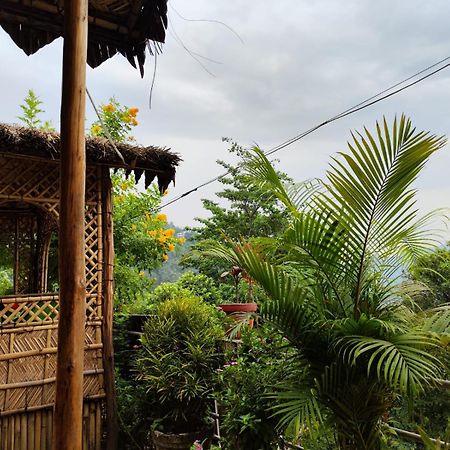 Nature Villa リシケーシュ エクステリア 写真