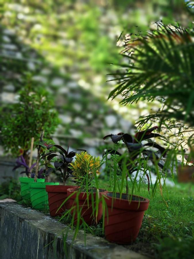Nature Villa リシケーシュ エクステリア 写真