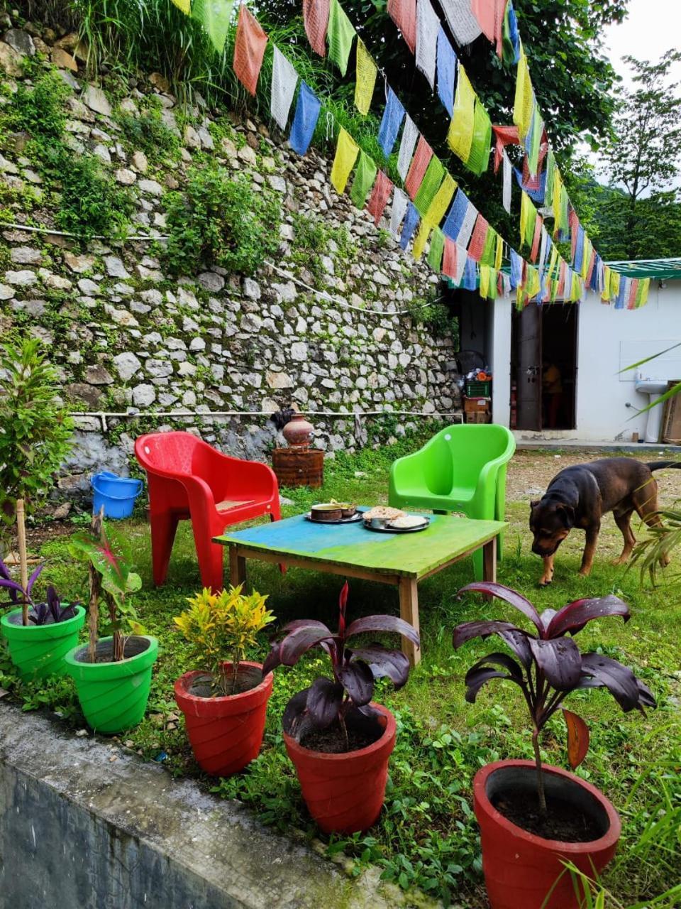 Nature Villa リシケーシュ エクステリア 写真