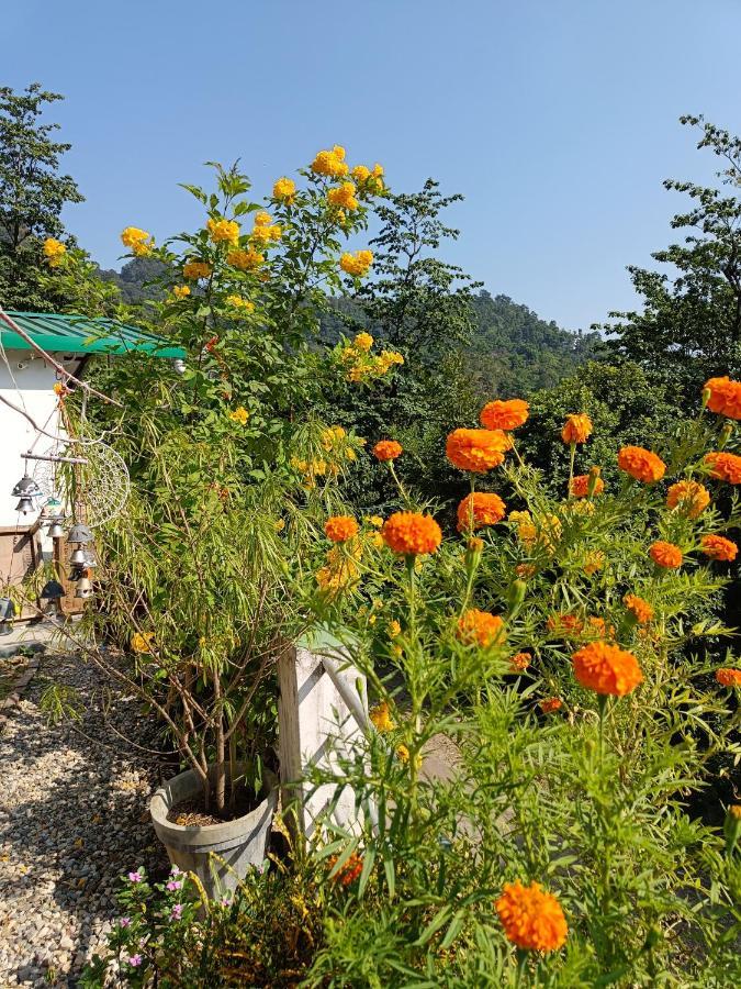 Nature Villa リシケーシュ エクステリア 写真